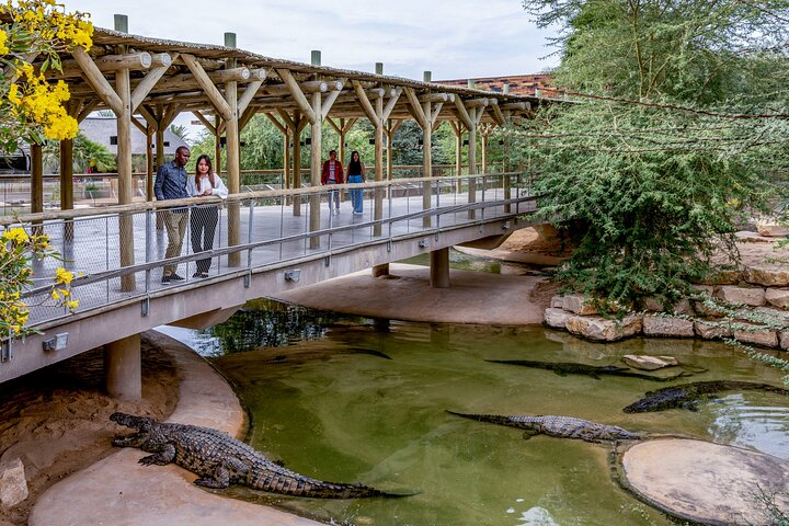 Experience the excitement of observing crocodiles in a unique setting where education meets adventure. Discover their world while enjoying scenic views and the thrill of the wild.